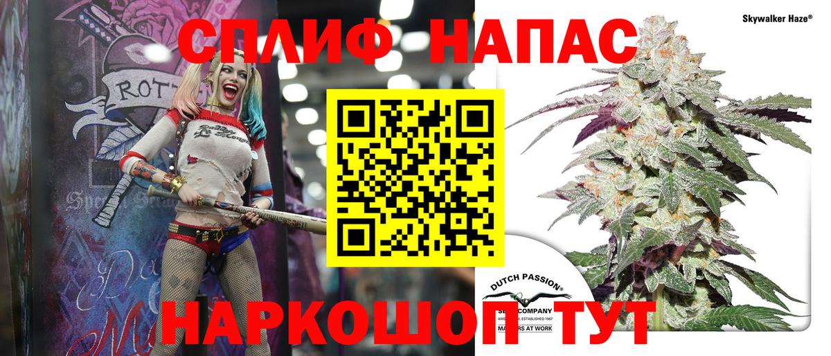 Каннабис AK-47  Каннабис семена  Конопля VHQ  Вход с VPN  Узловая 